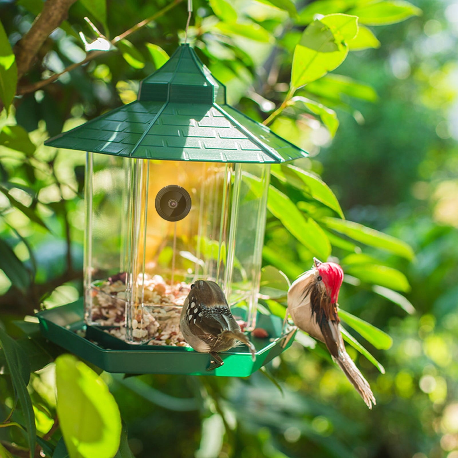 ASXITE Bird Feeders Outdoor,Bird Feeder with Camera HD 1080P Camera WiFi Remotely Connects To Mobile Phone To See Bird Outdoor Photos for Bird Enthusiasts