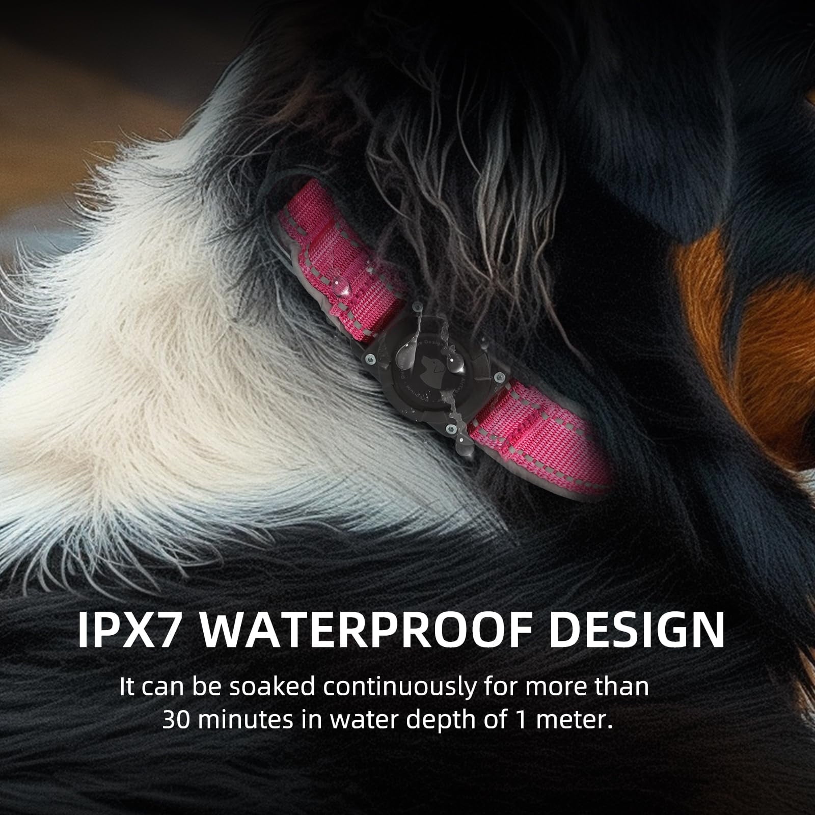 AirTag Dog Collar, IP68 STF9&nbsp;Waterproof Air Tag Dog Collar Holder, Reflective, Ultra-Durable, Comfortable Padded, Heavy Duty Dog Collars for Small Medium Large Dogs
